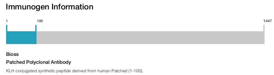 Patched Polyclonal Antibody
