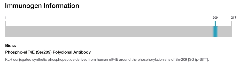 Phospho-eIF4E (Ser209) Polyclonal Antibody