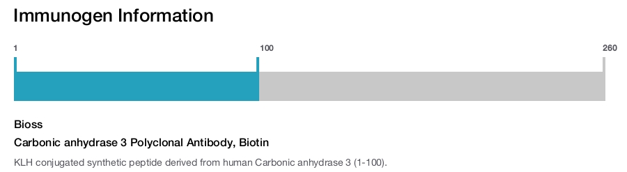 Carbonic anhydrase 3 Polyclonal Antibody, Biotin