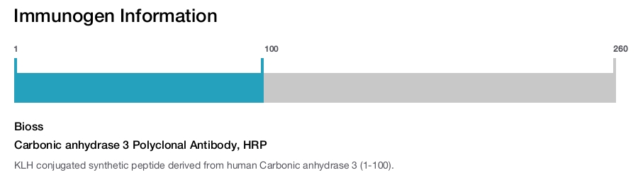 Carbonic anhydrase 3 Polyclonal Antibody, HRP