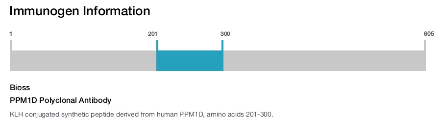PPM1D Polyclonal Antibody