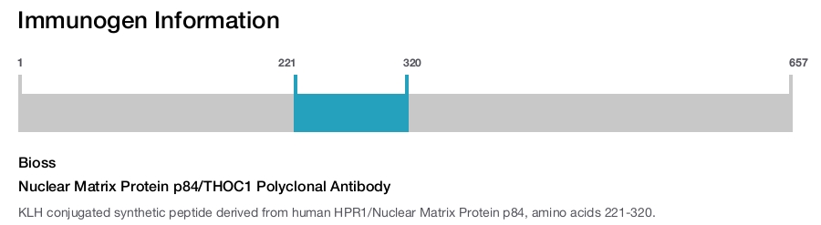 Nuclear Matrix Protein p84/THOC1 Polyclonal Antibody
