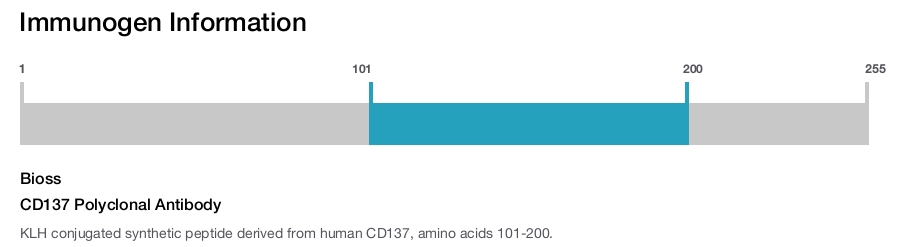 CD137 Polyclonal Antibody