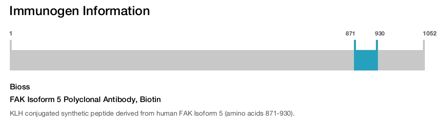 FAK Isoform 5 Polyclonal Antibody, Biotin