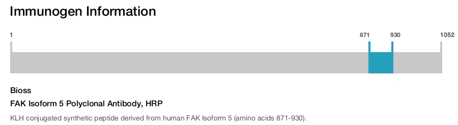 FAK Isoform 5 Polyclonal Antibody, HRP