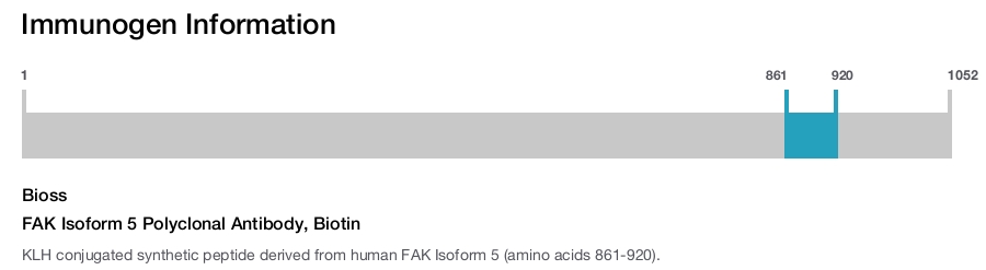FAK Isoform 5 Polyclonal Antibody, Biotin