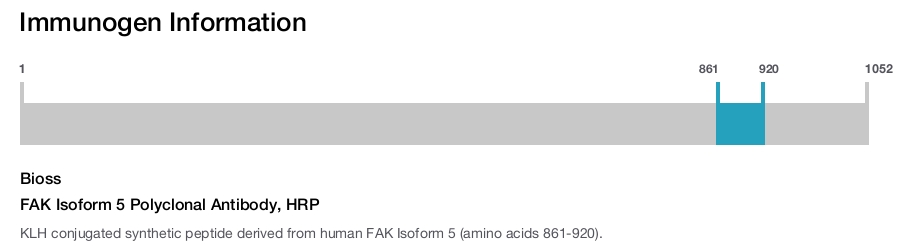 FAK Isoform 5 Polyclonal Antibody, HRP