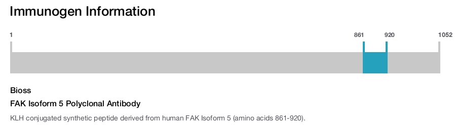 FAK Isoform 5 Polyclonal Antibody