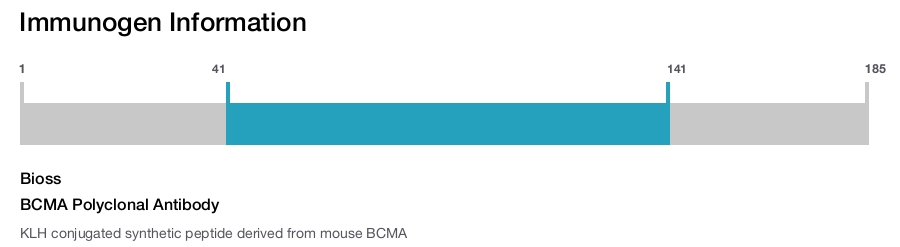 BCMA Polyclonal Antibody