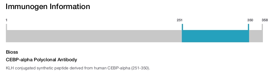 CEBP-alpha Polyclonal Antibody