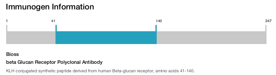 beta Glucan Receptor Polyclonal Antibody
