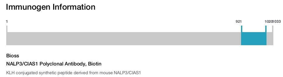 NALP3/CIAS1 Polyclonal Antibody, Biotin