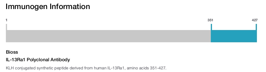 IL-13Ra1 Polyclonal Antibody