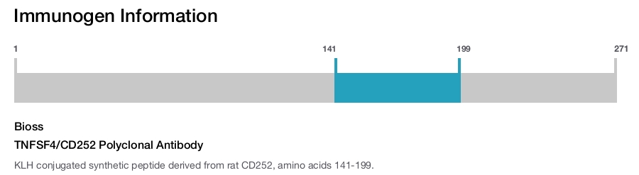 TNFSF4/CD252 Polyclonal Antibody