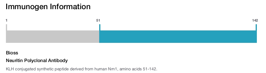 Neuritin Polyclonal Antibody