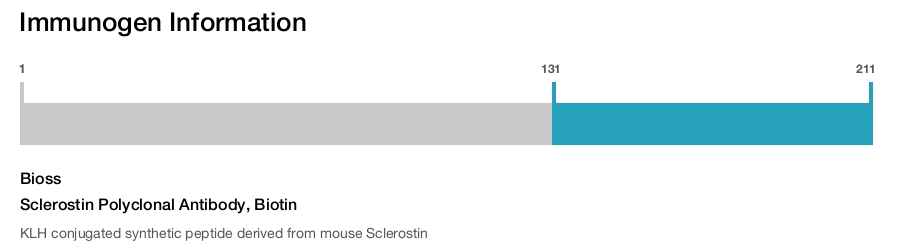 Sclerostin Polyclonal Antibody, Biotin
