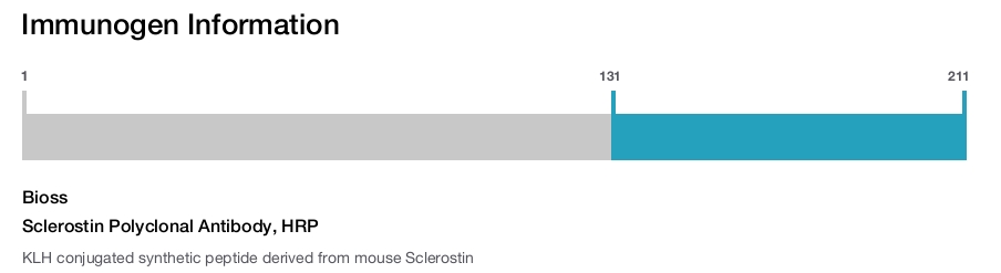Sclerostin Polyclonal Antibody, HRP