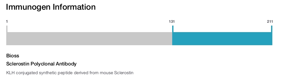 Sclerostin Polyclonal Antibody