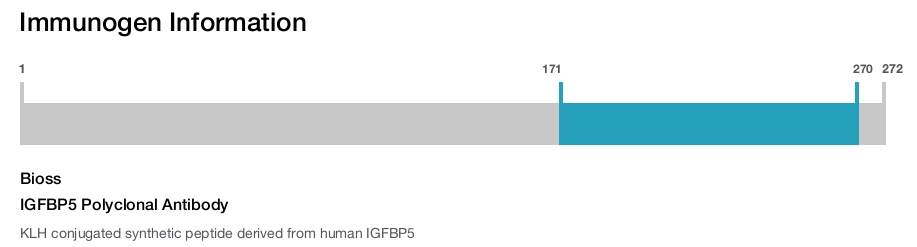 IGFBP5 Polyclonal Antibody