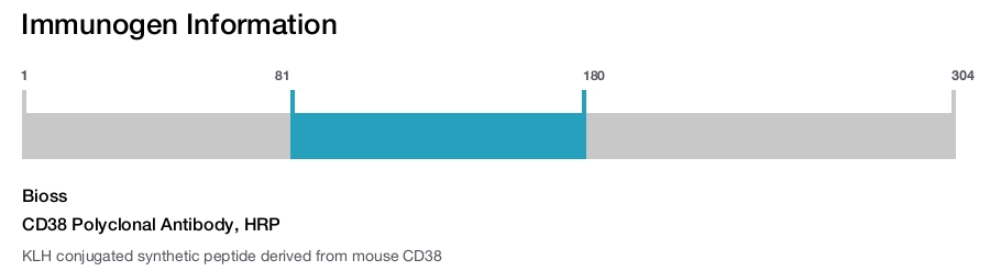 CD38 Polyclonal Antibody, HRP