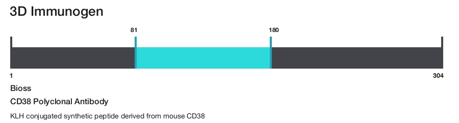CD38 Polyclonal Antibody