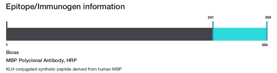 MBP Polyclonal Antibody, HRP