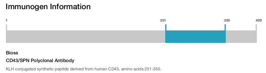 CD43/SPN Polyclonal Antibody