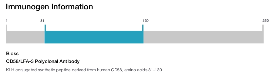 CD58/LFA-3 Polyclonal Antibody