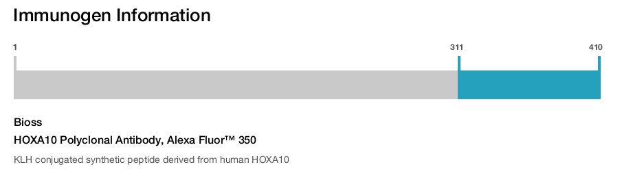 HOXA10 Polyclonal Antibody, Alexa Fluor&trade; 350