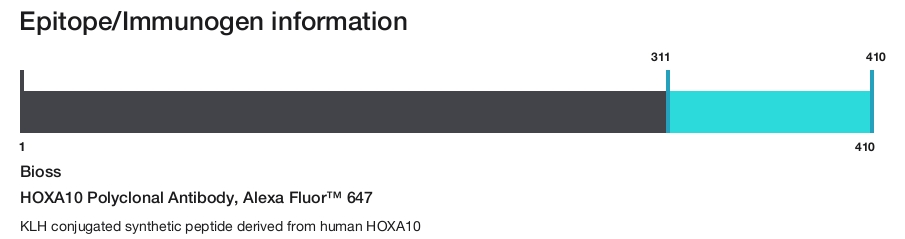 HOXA10 Polyclonal Antibody, Alexa Fluor&trade; 647
