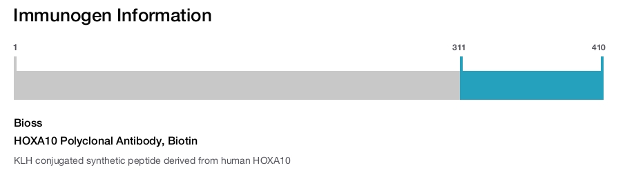HOXA10 Polyclonal Antibody, Biotin