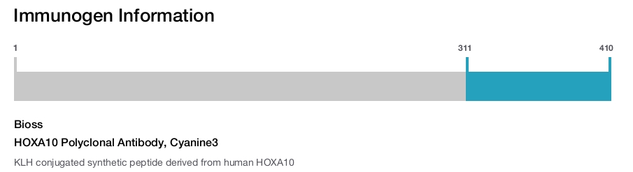 HOXA10 Polyclonal Antibody, Cyanine3