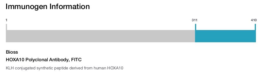 HOXA10 Polyclonal Antibody, FITC