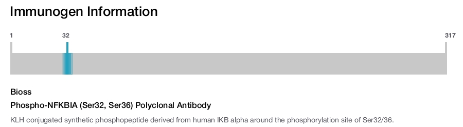 Phospho-NFKBIA (Ser32, Ser36) Polyclonal Antibody