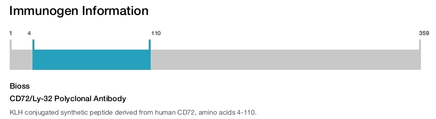 CD72/Ly-32 Polyclonal Antibody