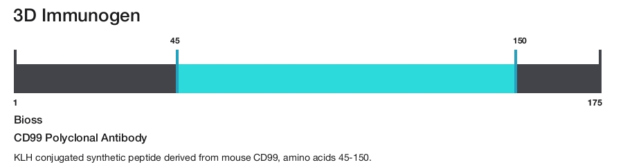 CD99 Polyclonal Antibody