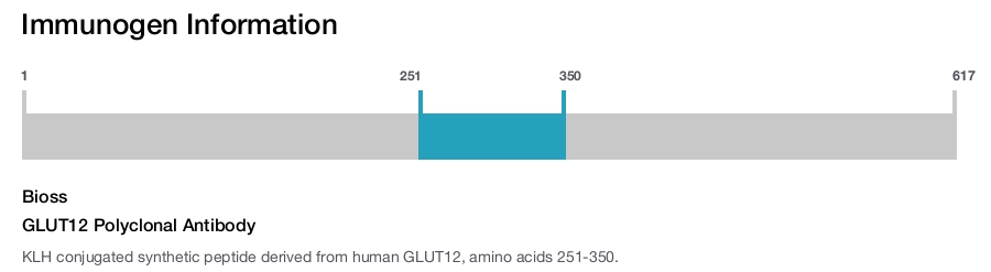 GLUT12 Polyclonal Antibody