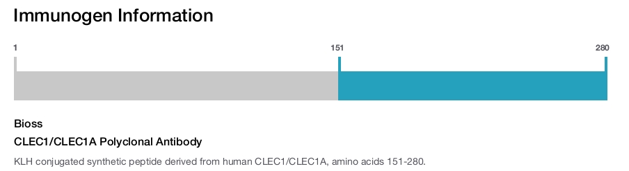 CLEC1/CLEC1A Polyclonal Antibody