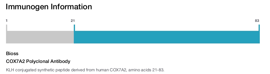 COX7A2 Polyclonal Antibody