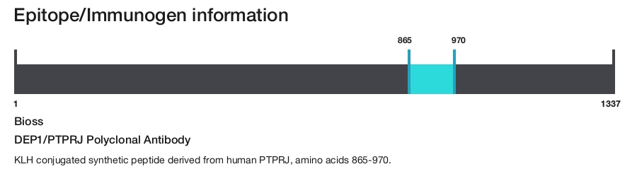 DEP1/PTPRJ Polyclonal Antibody