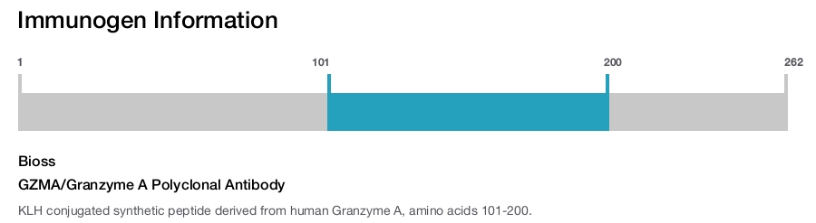 GZMA/Granzyme A Polyclonal Antibody
