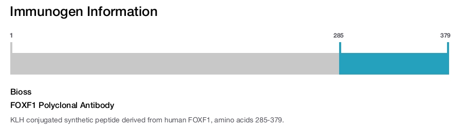 FOXF1 Polyclonal Antibody