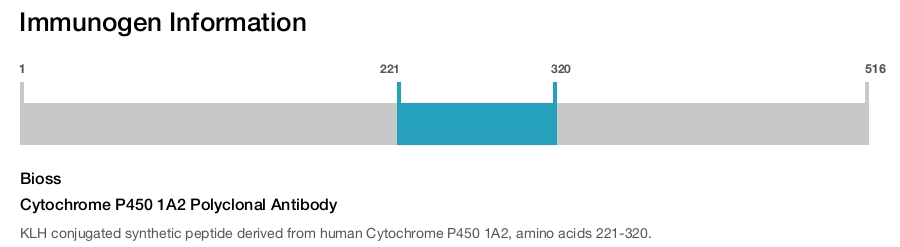 Cytochrome P450 1A2 Polyclonal Antibody