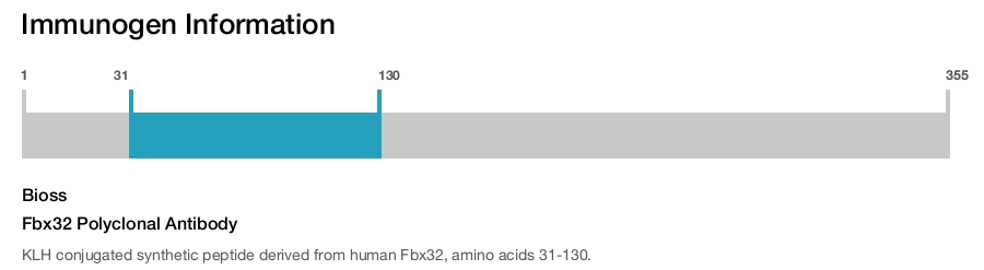 Fbx32 Polyclonal Antibody