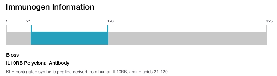 IL10RB Polyclonal Antibody