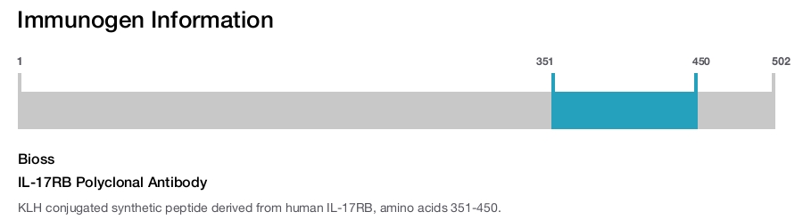IL-17RB Polyclonal Antibody