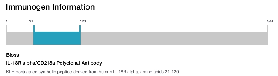IL-18R alpha/CD218a Polyclonal Antibody
