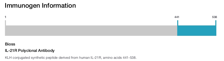 IL-21R Polyclonal Antibody