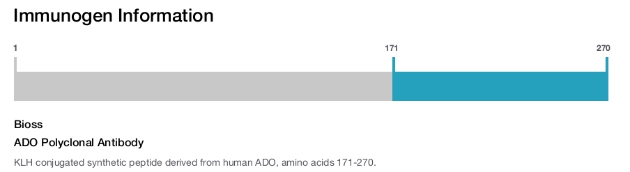 ADO Polyclonal Antibody