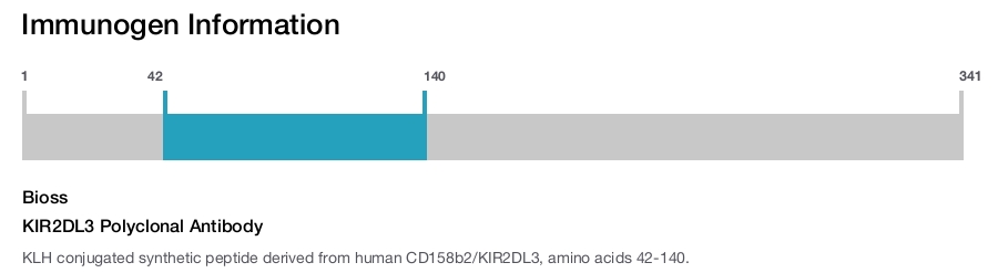 KIR2DL3 Polyclonal Antibody